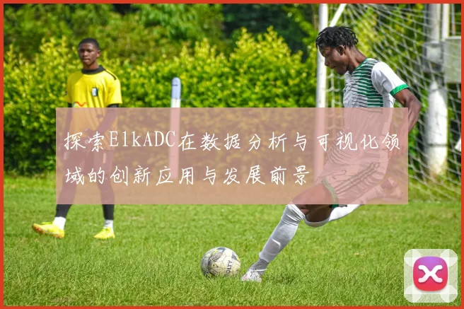 探索ElkADC在数据分析与可视化领域的创新应用与发展前景