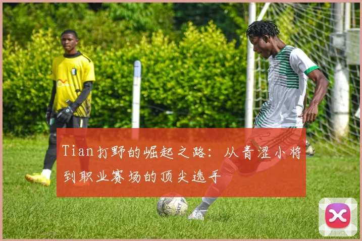 Tian打野的崛起之路：从青涩小将到职业赛场的顶尖选手
