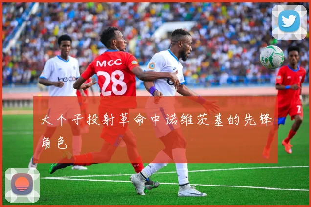 大个子投射革命中诺维茨基的先锋角色