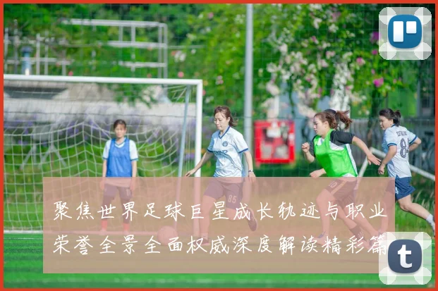聚焦世界足球巨星成长轨迹与职业荣誉全景全面权威深度解读精彩篇